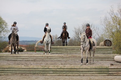 4 de nos chevaux lors d'un entraînement sur le terrain de cross